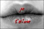 ma vie, mes amours, mes amis...